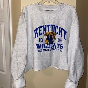 UNIVERSITY OF KENTUCKY CROPPED SWEATSHIRT 💙